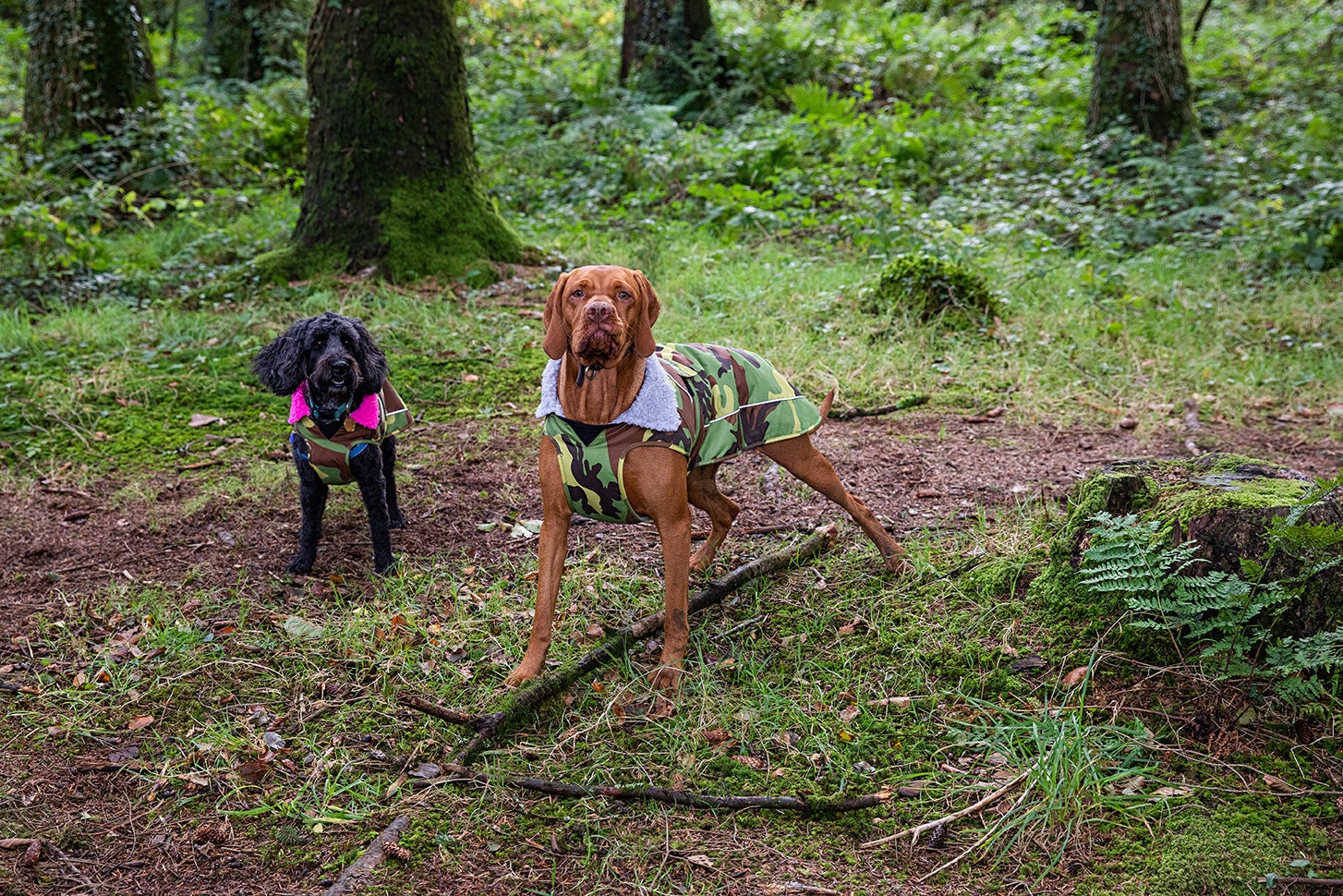 Dryrobe® Pro Dog Coat