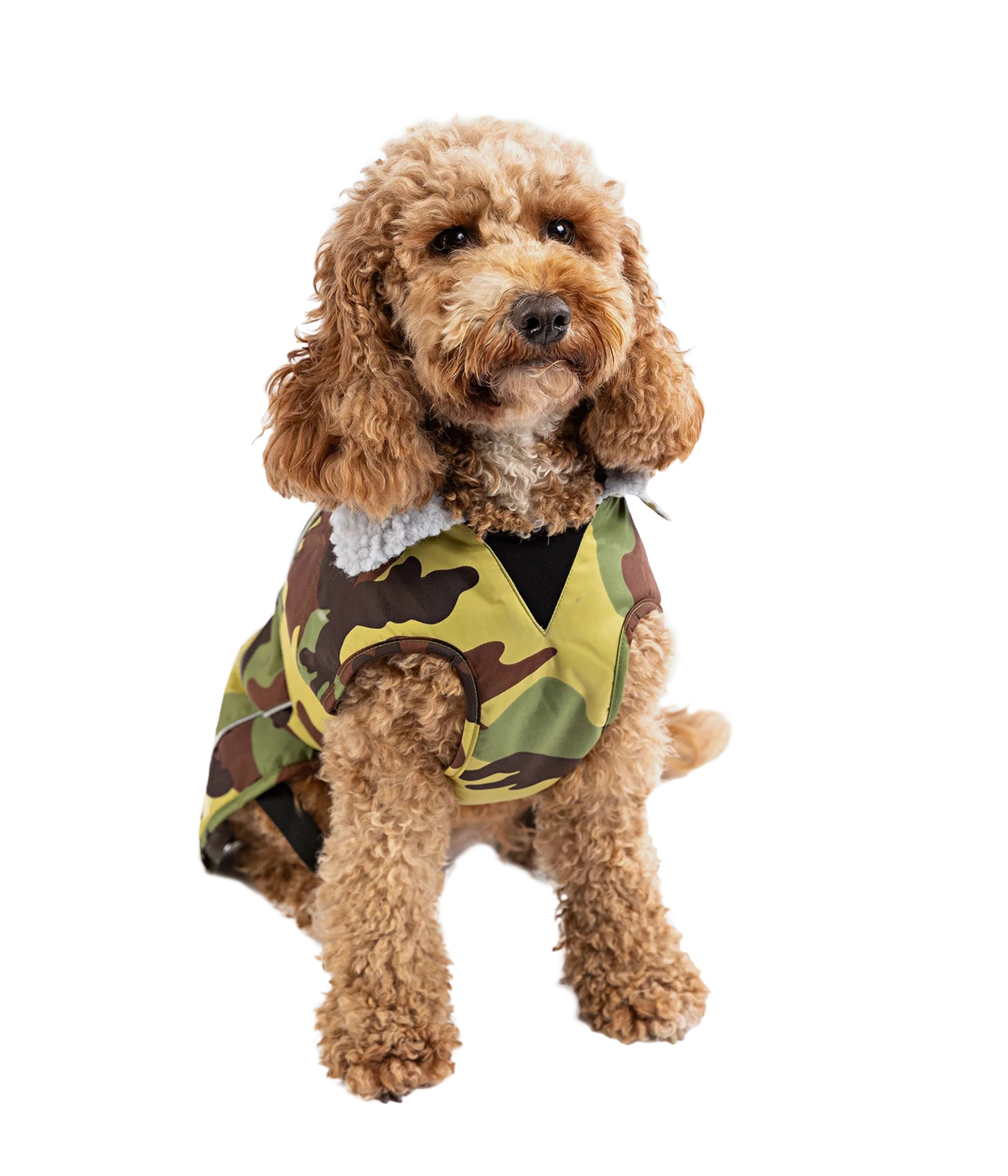 Dryrobe® Pro Dog Coat