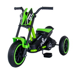 Story GoGo Tricycle