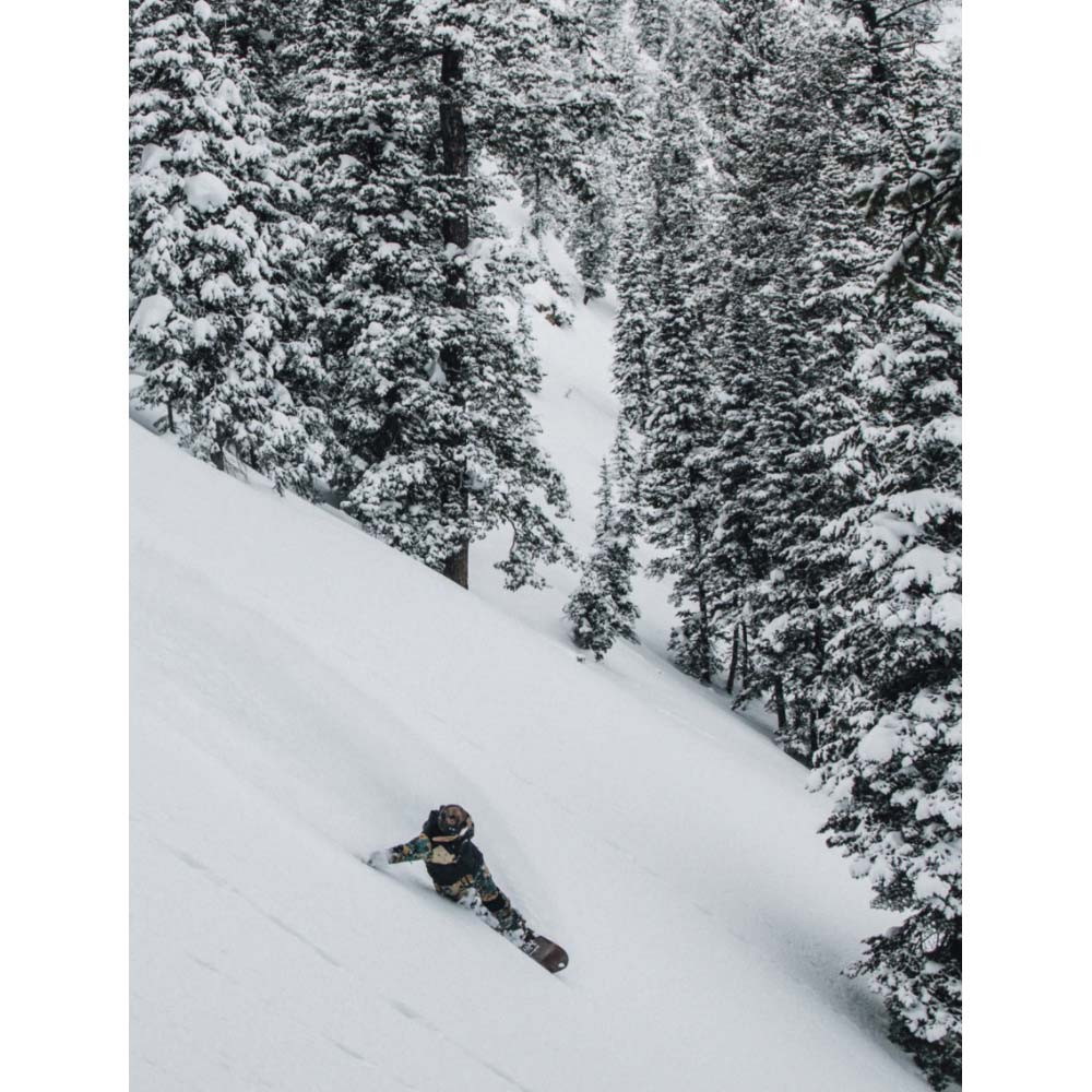 Arbor Wasteland Camber Snowboard