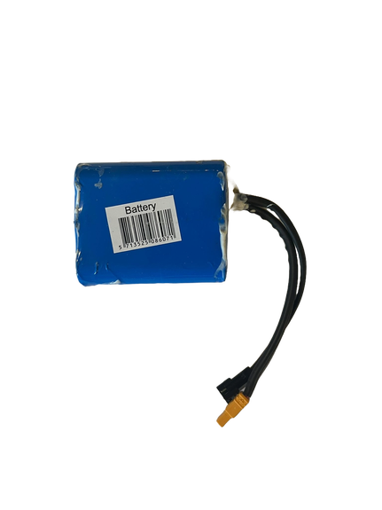 Story E-Motion Kids Electric Scooter Battery