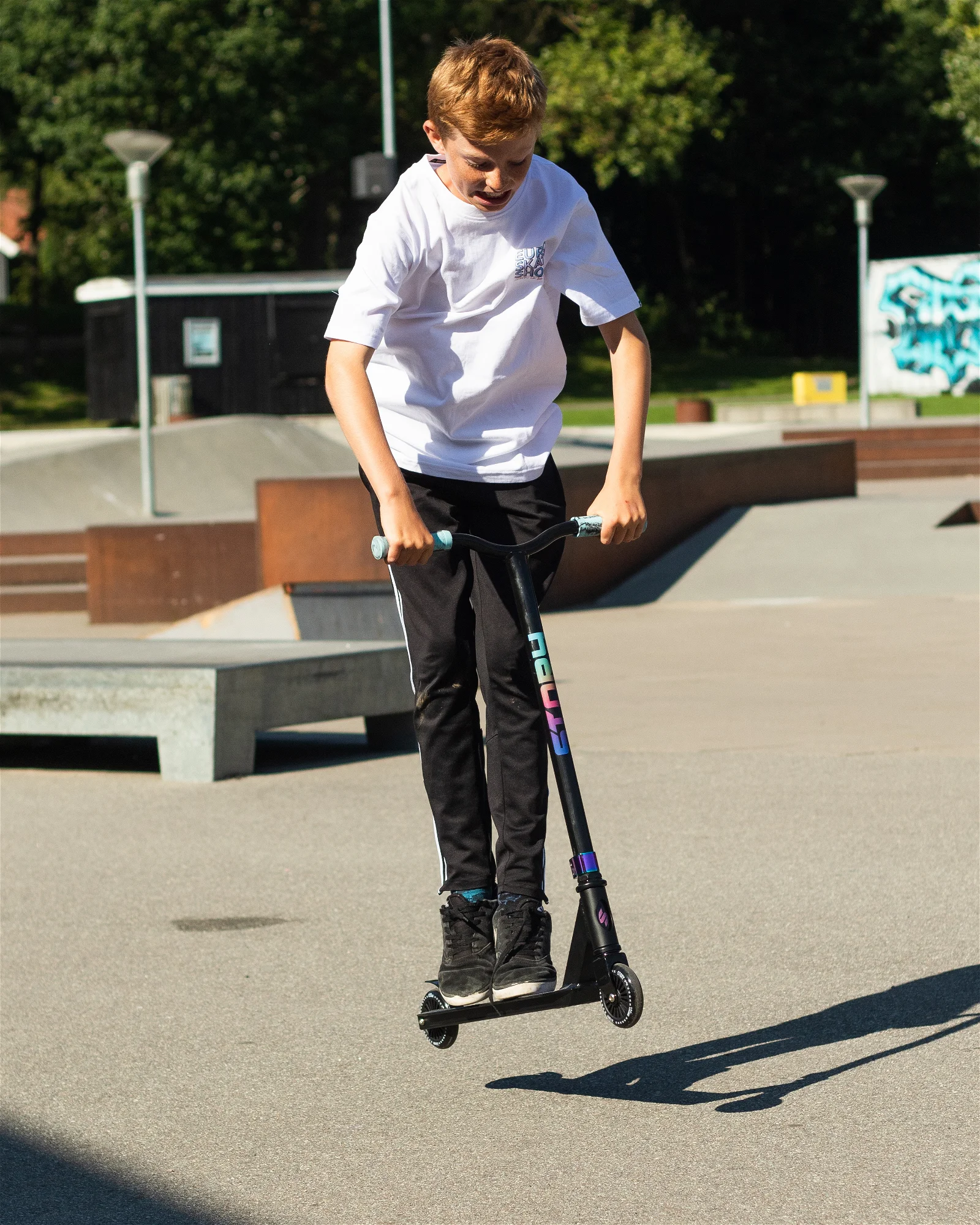 Story Freestyle Roller