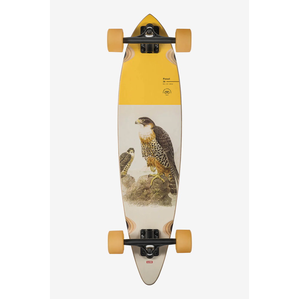 Globe Pintail Falcon Longboard