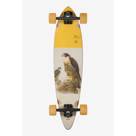 Globe Pintail Falcon Longboard
