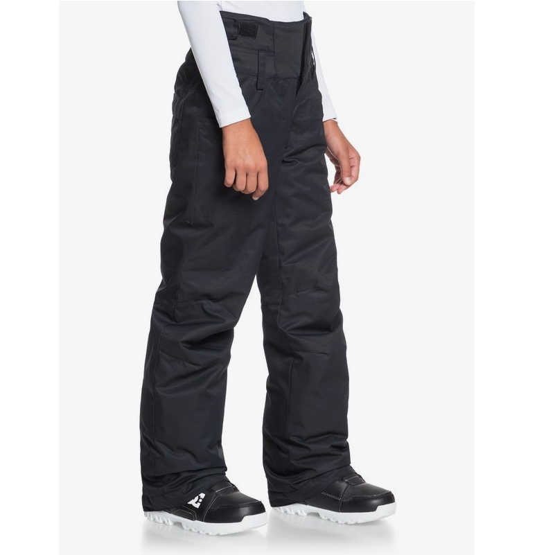 Roxy Diversion Ski Pants