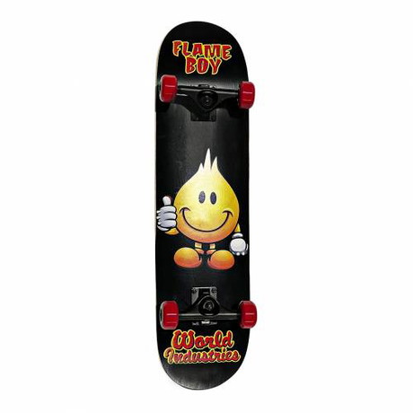 World Industries Complete Skateboard